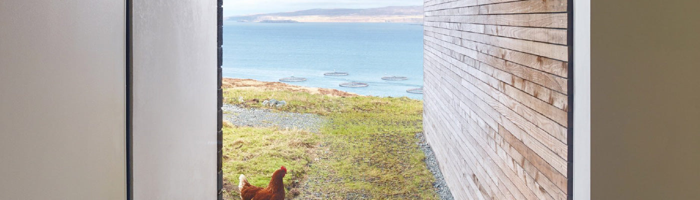 Five For Friday: Beauty in Imperfection