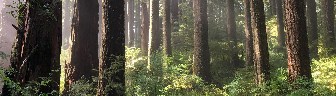 Five For Friday: Little Moments