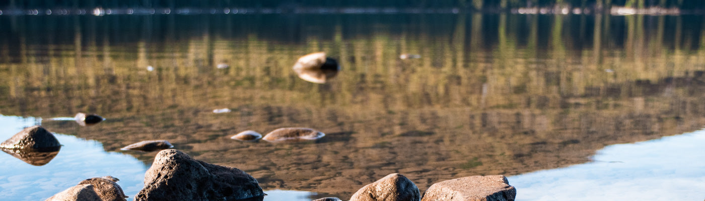 Five For Friday: Dive In