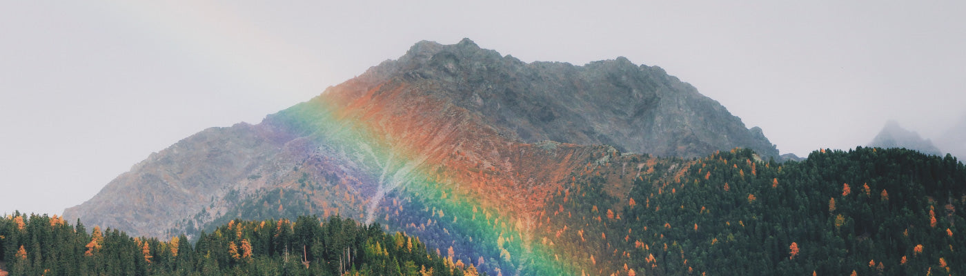 Five For Friday: Summer Dreaming