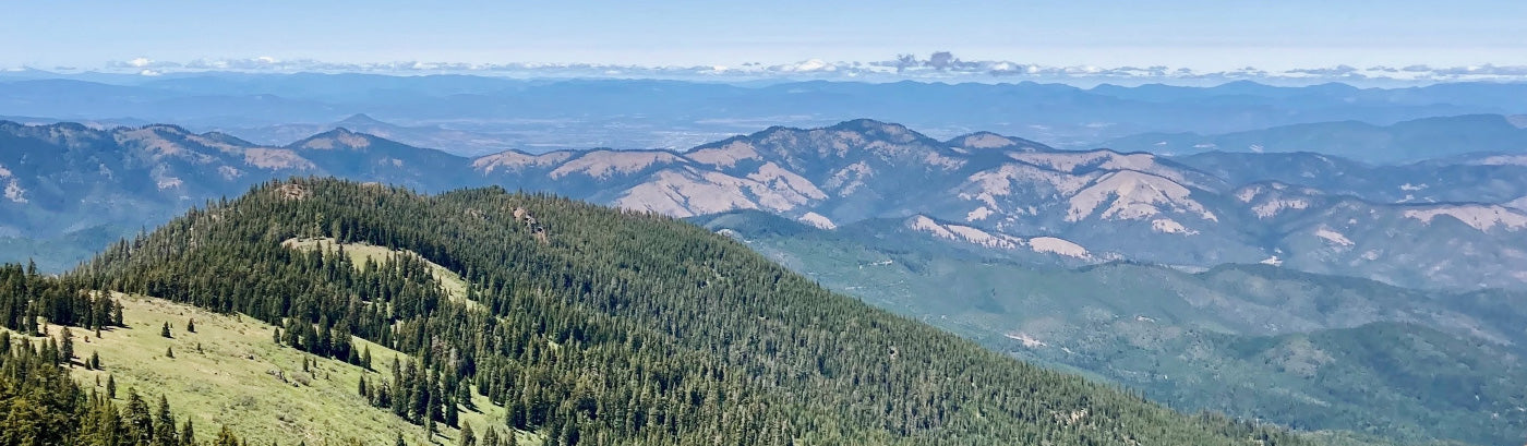 Five For Friday: Get Out There