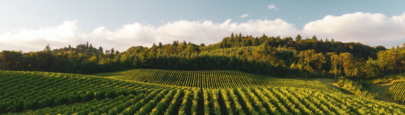 Five For Friday: Spark Joy