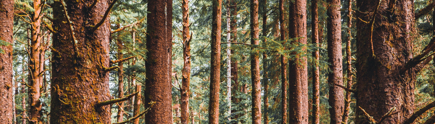 Five For Friday: In Focus