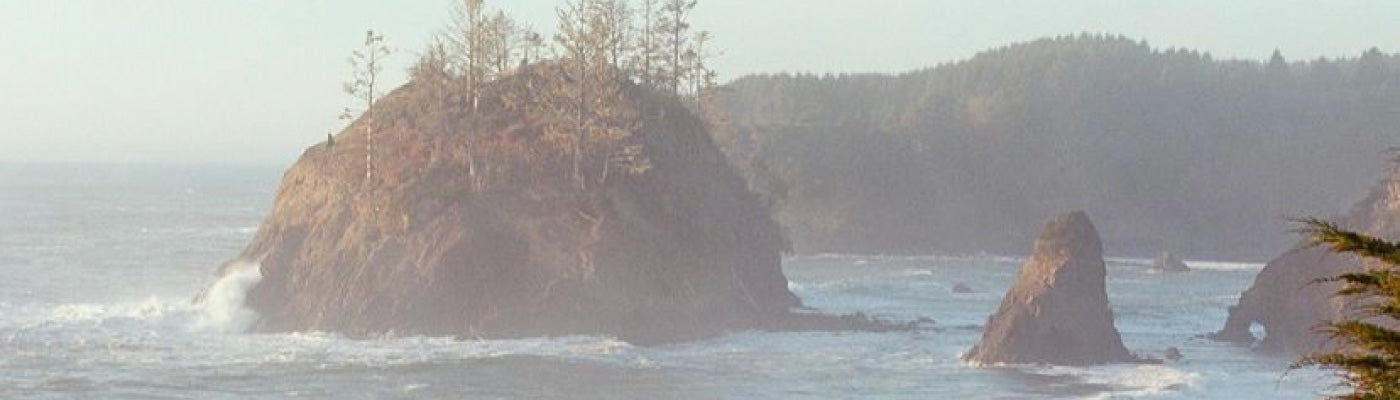 Five For Friday: Wave Watching