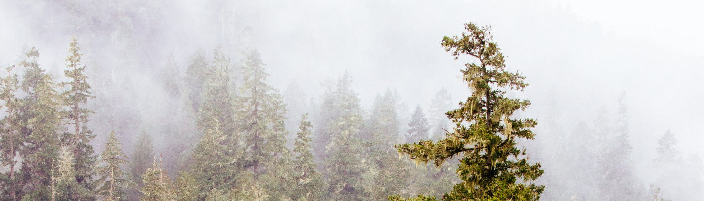 Five For Friday: Handcrafted