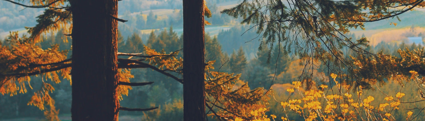 Five For Friday: Autumn Harvest