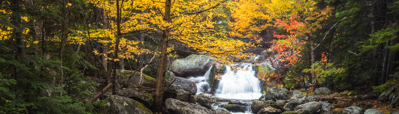 Five For Friday: In Vivid Color