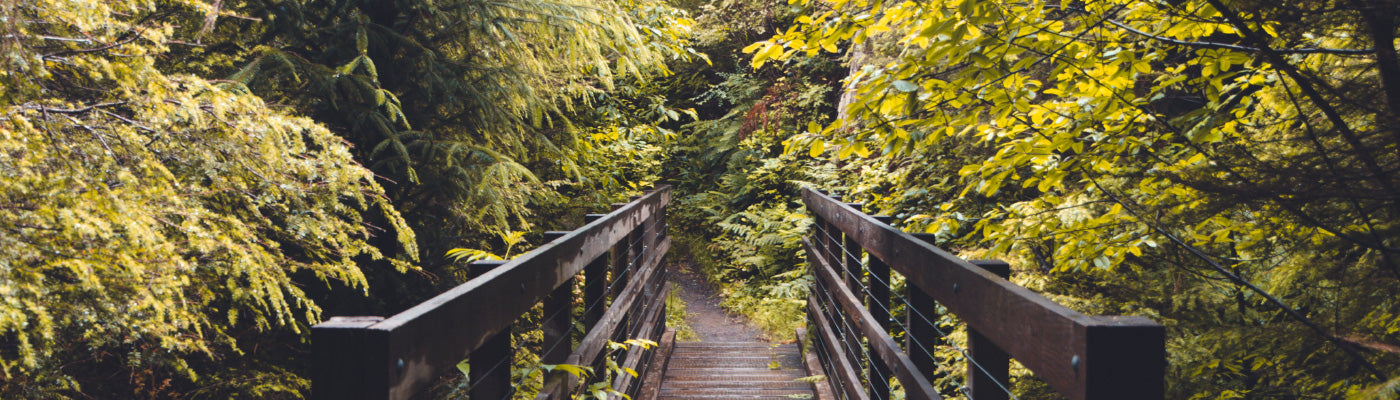 Five For Friday: PNW-Inspired