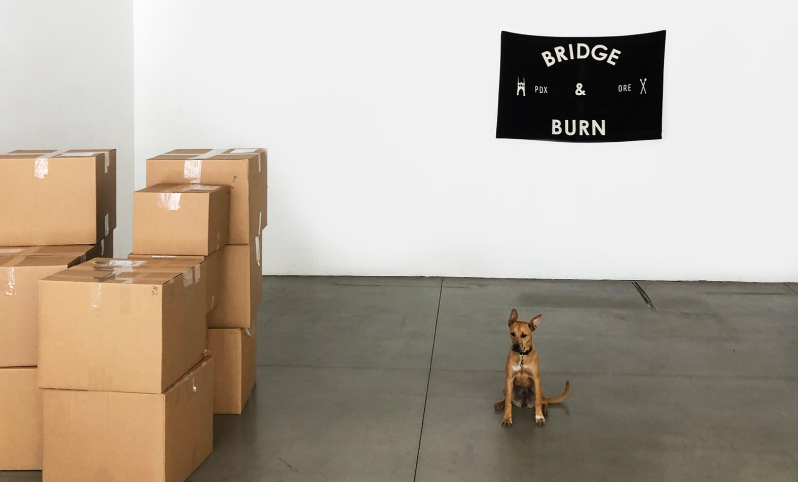 Saying Goodbye to DTLA