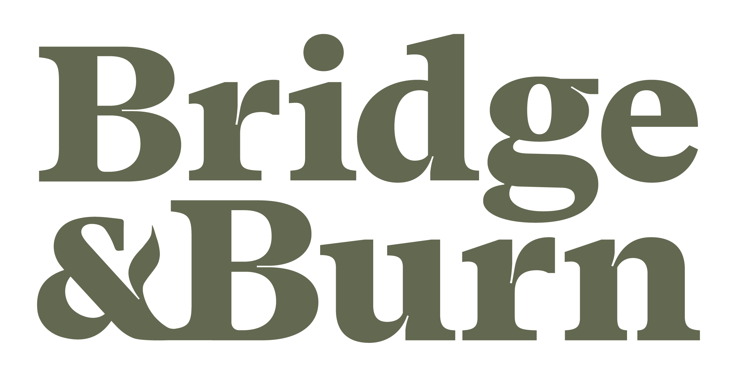 Bridge & Burn logo