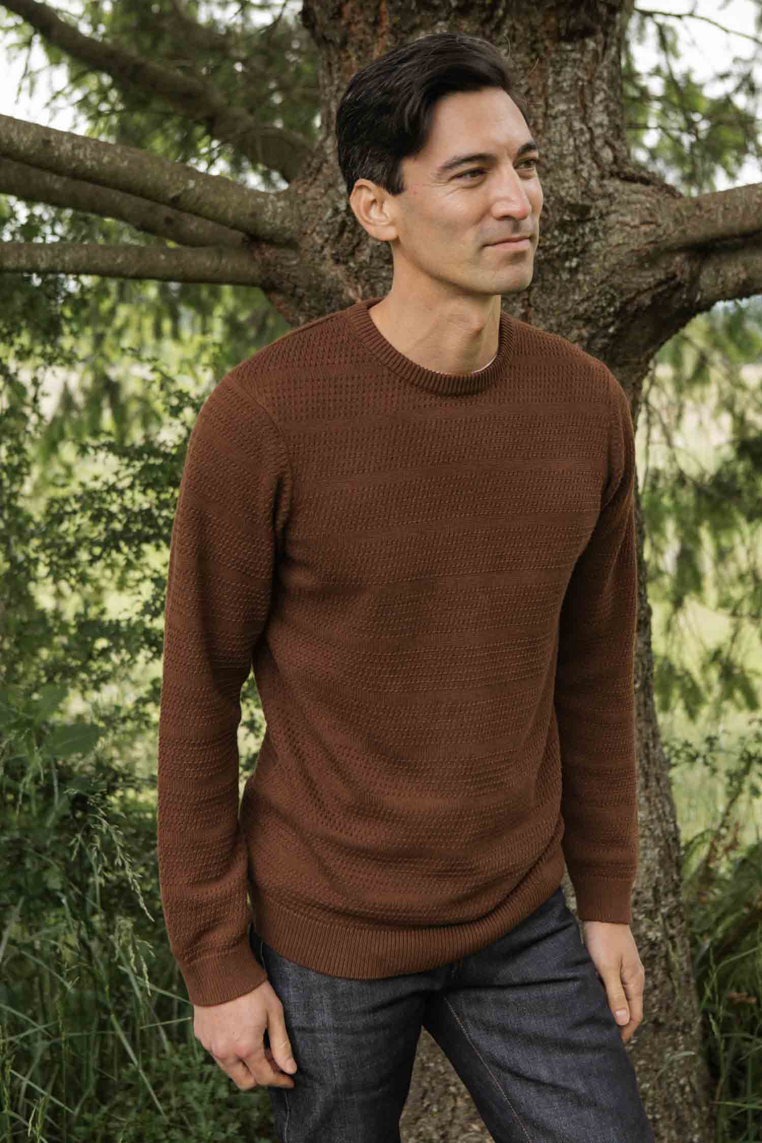 Calder Sweater / Walnut