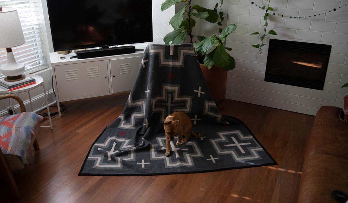 Meet the At-Home Maker: Erik's Pet Portrait Tutorial