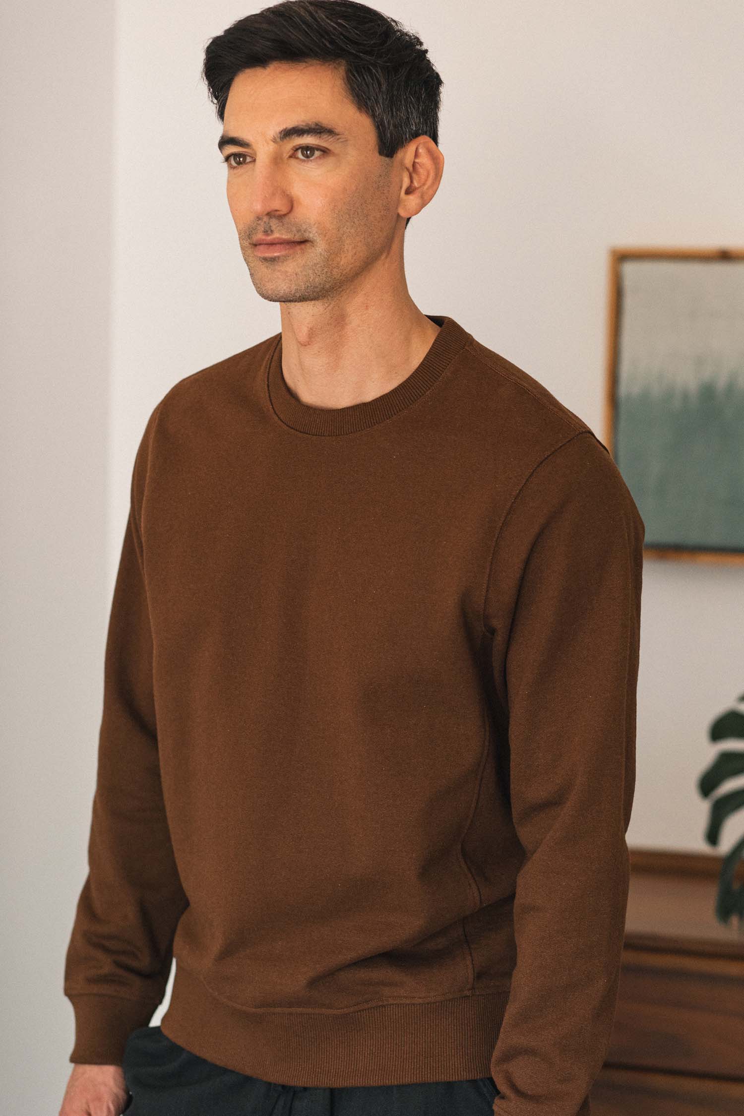 A man with short dark hair wears the Bridge & Burn Hayden Crew Sweatshirt in Cumin, standing indoors near a framed picture and a plant, looking slightly to the side with a neutral expression.