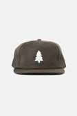 Tree Cap / Olivewood